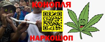 гашик Ирбит