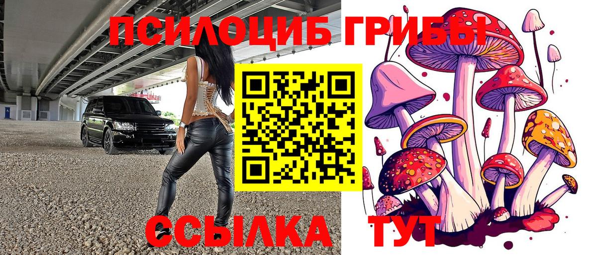 Галлюциногенные грибы GOLDEN TEACHER Хасавюрт